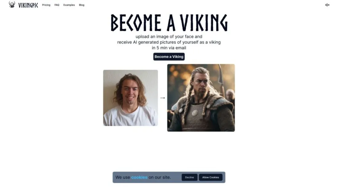 VikingPic AI