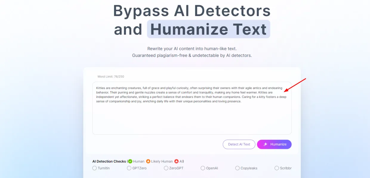 Semihuman AI how it works (1)